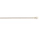 Stříbrný řetízek Hot Diamonds Emozioni Bead Rose 76