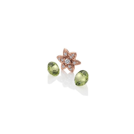 Přívěsek Hot Diamonds Květ Anais element EX207