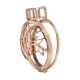 Stříbrný přívěsek Hot Diamonds Emozioni Vita Rose Gold Plated Coin Keeper EK042