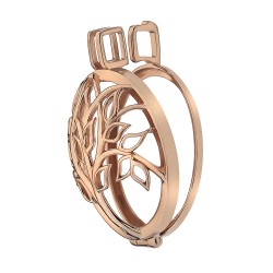Stříbrný přívěsek Hot Diamonds Emozioni Vita Rose Gold Plated Coin Keeper EK042