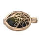 Stříbrný přívěsek Hot Diamonds Emozioni Vita Rose Gold Plated Coin Keeper EK042