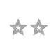 Stříbrné náušnice Hot Diamonds Star Micro Bliss DE554