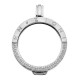 Stříbrný přívěsek Hot Diamonds Emozioni Reflessi Coin Keeper EK044