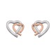 Stříbrné náušnice Hot Diamonds Love DE532