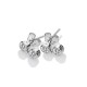 Stříbrné náušnice Hot Diamonds Willow DE586