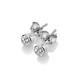 Stříbrné náušnice Hot Diamonds Willow DE584