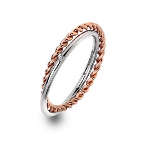Stříbrný prsten Hot Diamonds Jasmine RG DR211