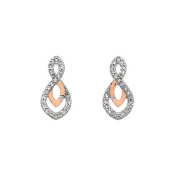 Stříbrné náušnice Hot Diamonds Lily RG DE608