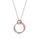 Stříbrný přívěsek Hot Diamonds Jasmine RG DP736