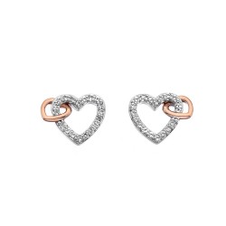 Stříbrné náušnice Hot Diamonds Flora RG DE606