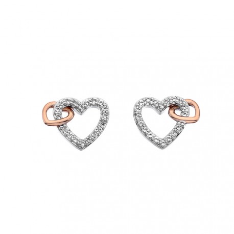 Stříbrné náušnice Hot Diamonds Flora RG DE606