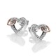 Stříbrné náušnice Hot Diamonds Flora RG DE606