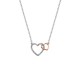 Stříbrný přívěsek Hot Diamonds Flora RG DP732