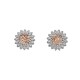 Stříbrné náušnice Hot Diamonds Emozioni Spirzzare EE032