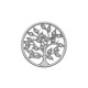 Přívěsek Hot Diamonds Emozioni Balance and Harmony Sparkle Coin EC480-481