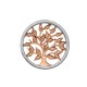 Přívěsek Hot Diamonds Emozioni Balance and Harmony RG Coin EC478