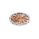 Přívěsek Hot Diamonds Emozioni Balance and Harmony RG Coin EC478