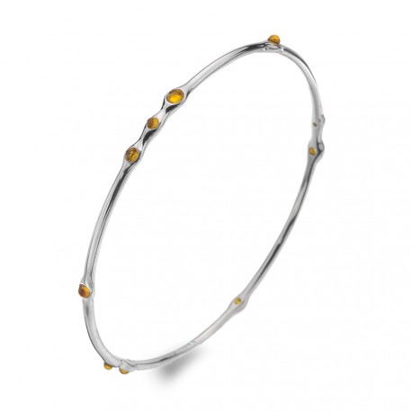 Náramek Hot Diamonds Emozioni Nettare EB077