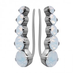 Naušnice ESSW33 czab s krystaly Swarovski Elements
